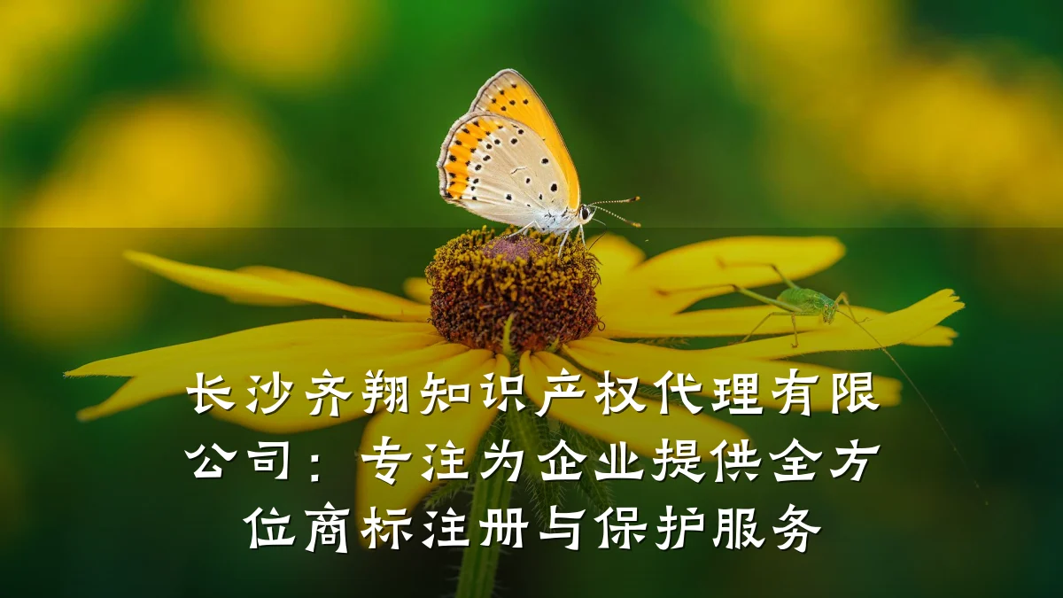 长沙齐翔知识产权代理有限公司：专注为企业提供全方位商标注册与保护服务