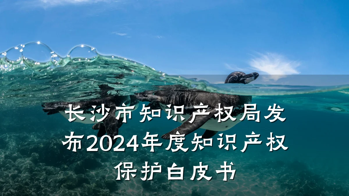 长沙市知识产权局发布2024年度知识产权保护白皮书
