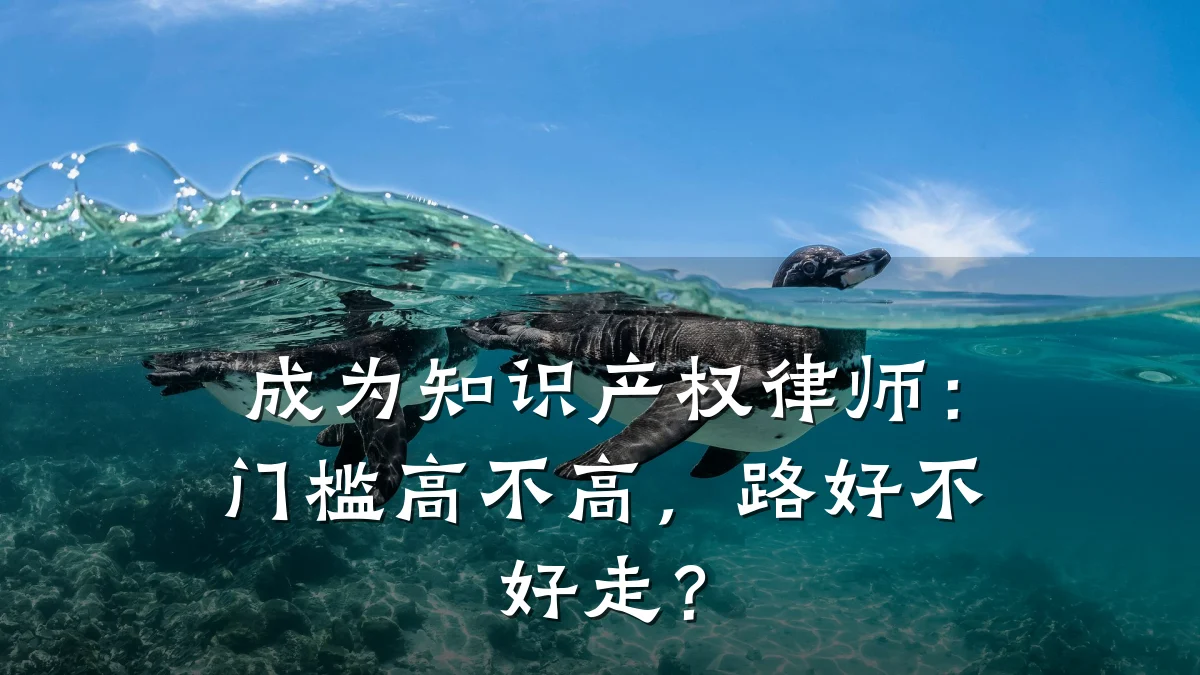 成为知识产权律师：门槛高不高，路好不好走？