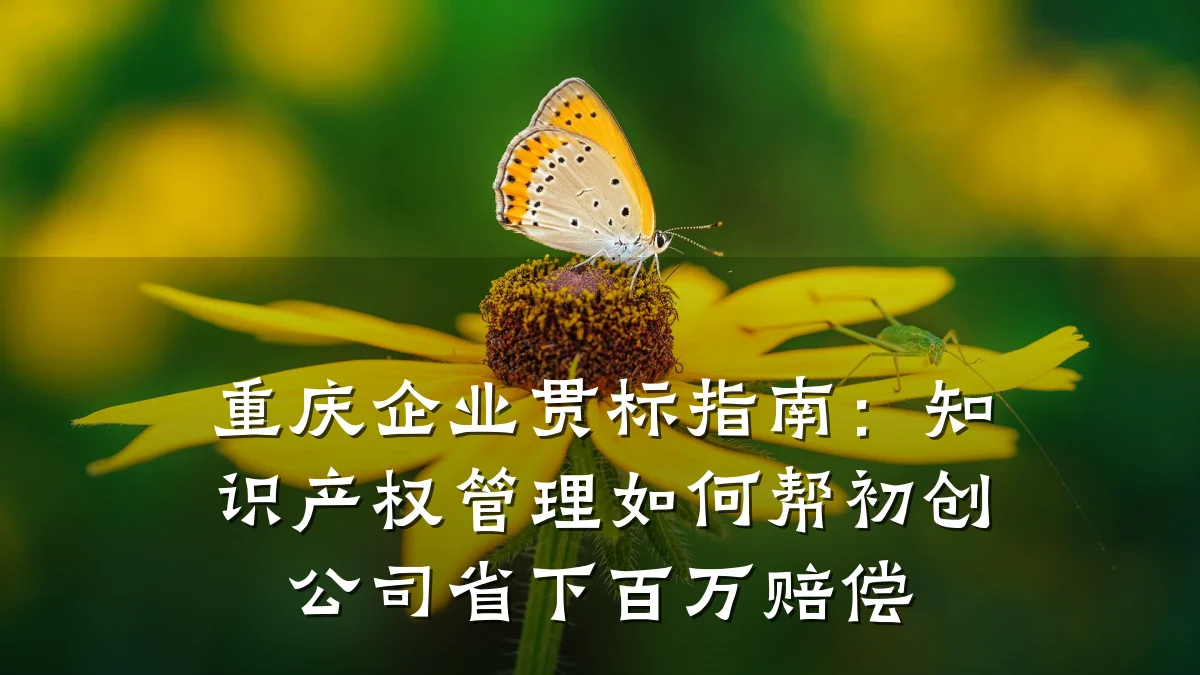 重庆企业贯标指南:知识产权管理如何帮初创公司省下百万赔偿