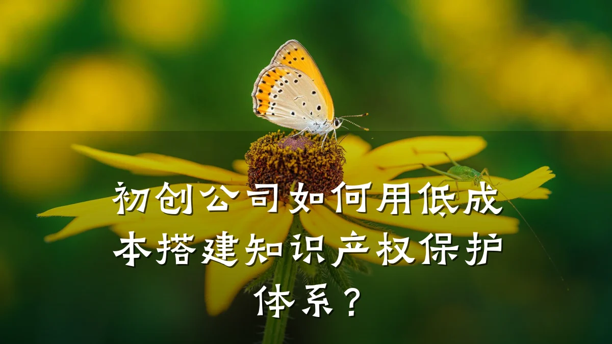 初创公司如何用低成本搭建知识产权保护体系？