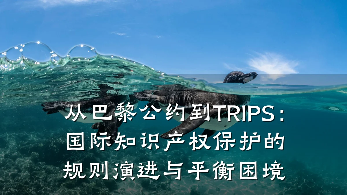 从巴黎公约到TRIPS：国际知识产权保护的规则演进与平衡困境