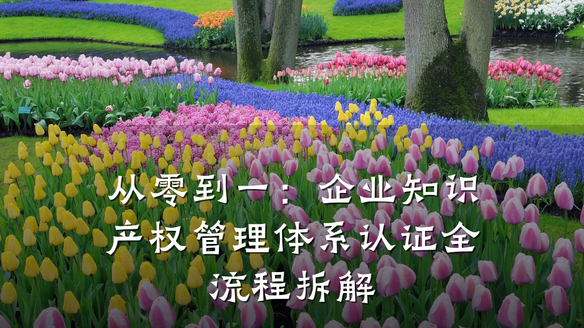 从零到一：企业知识产权管理体系认证全流程拆解