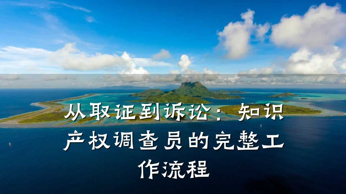 从取证到诉讼：知识产权调查员的完整工作流程