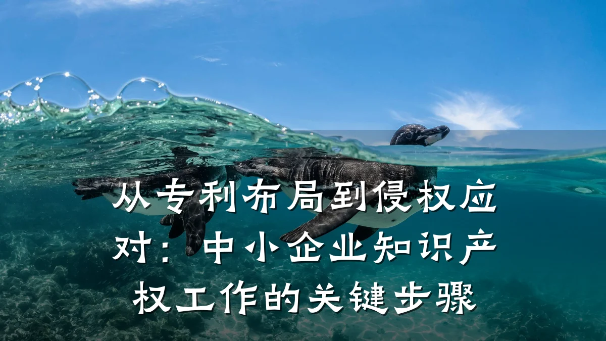 从专利布局到侵权应对:中小企业知识产权工作的关键步骤