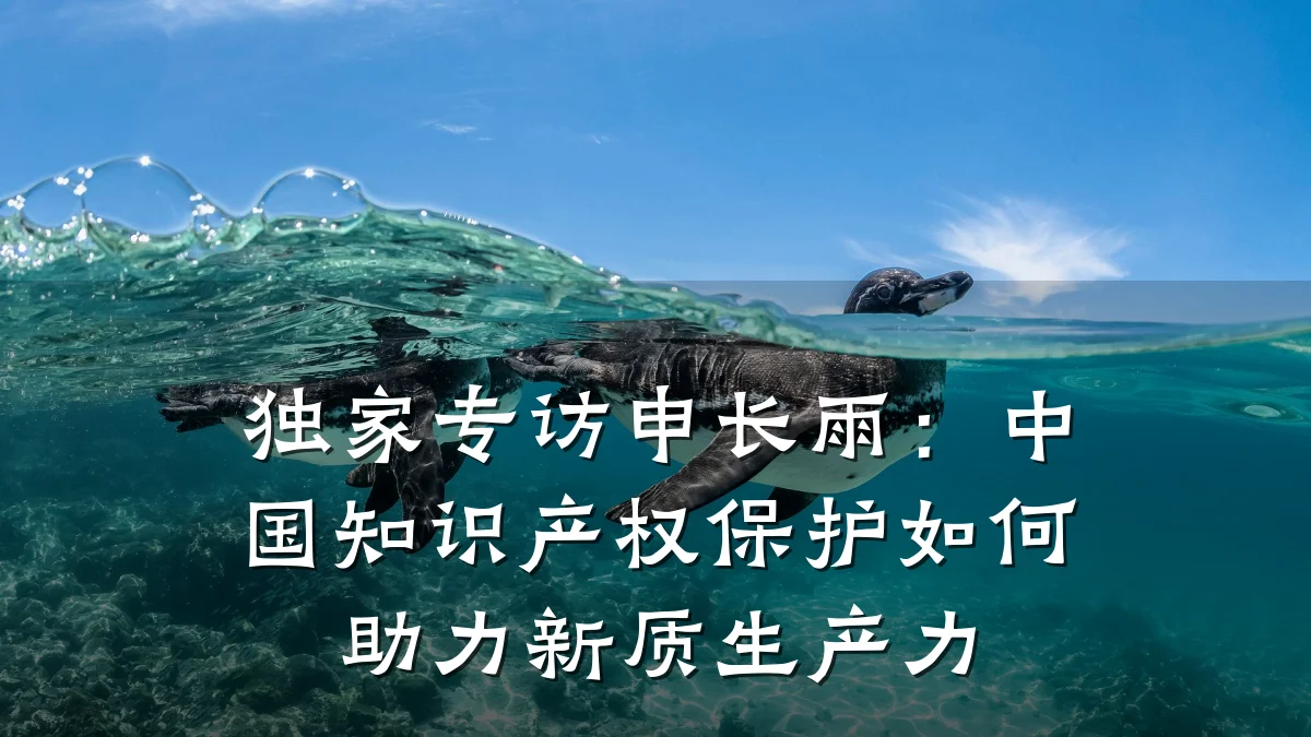 独家专访申长雨：中国知识产权保护如何助力新质生产力