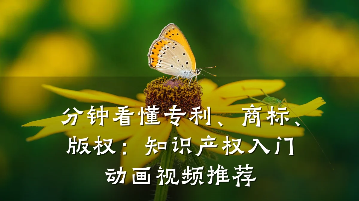 分钟看懂专利、商标、版权：知识产权入门动画视频推荐