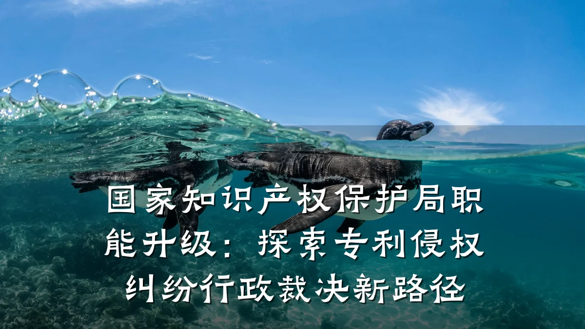 国家知识产权保护局职能升级:探索专利侵权纠纷行政裁决新路径