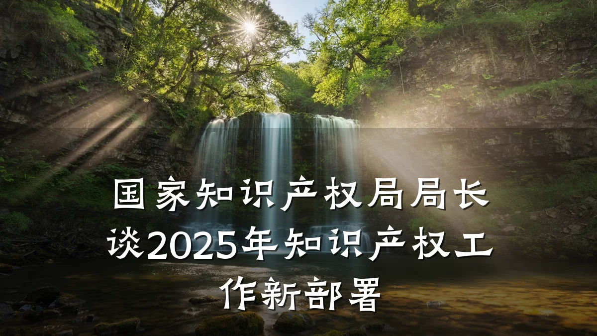 国家知识产权局局长谈2025年知识产权工作新部署