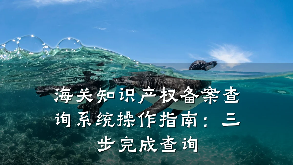 海关知识产权备案查询系统操作指南：三步完成查询