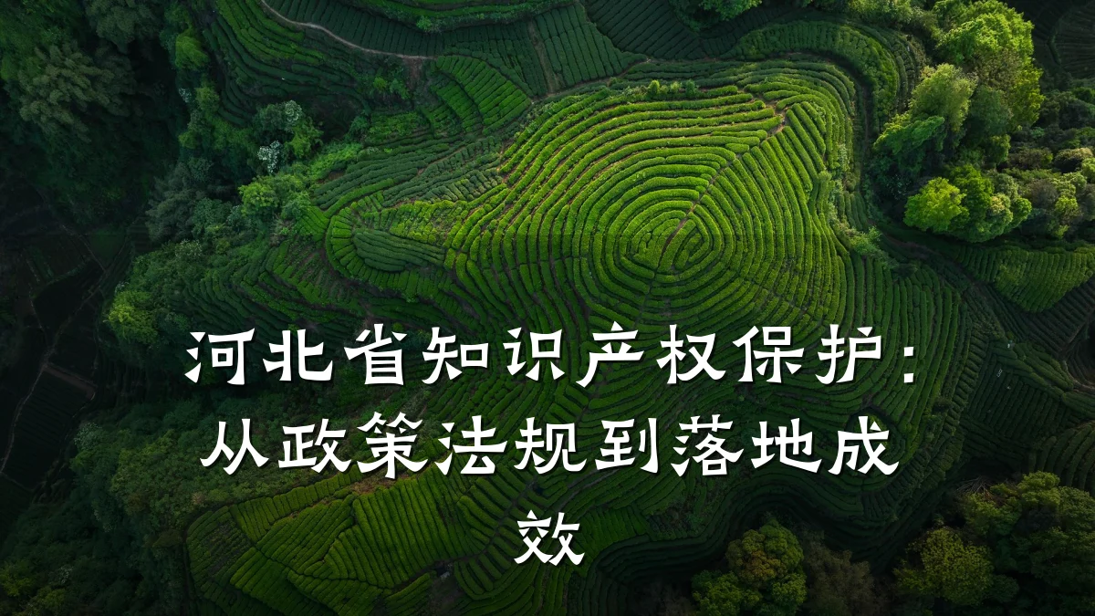 河北省知识产权保护：从政策法规到落地成效