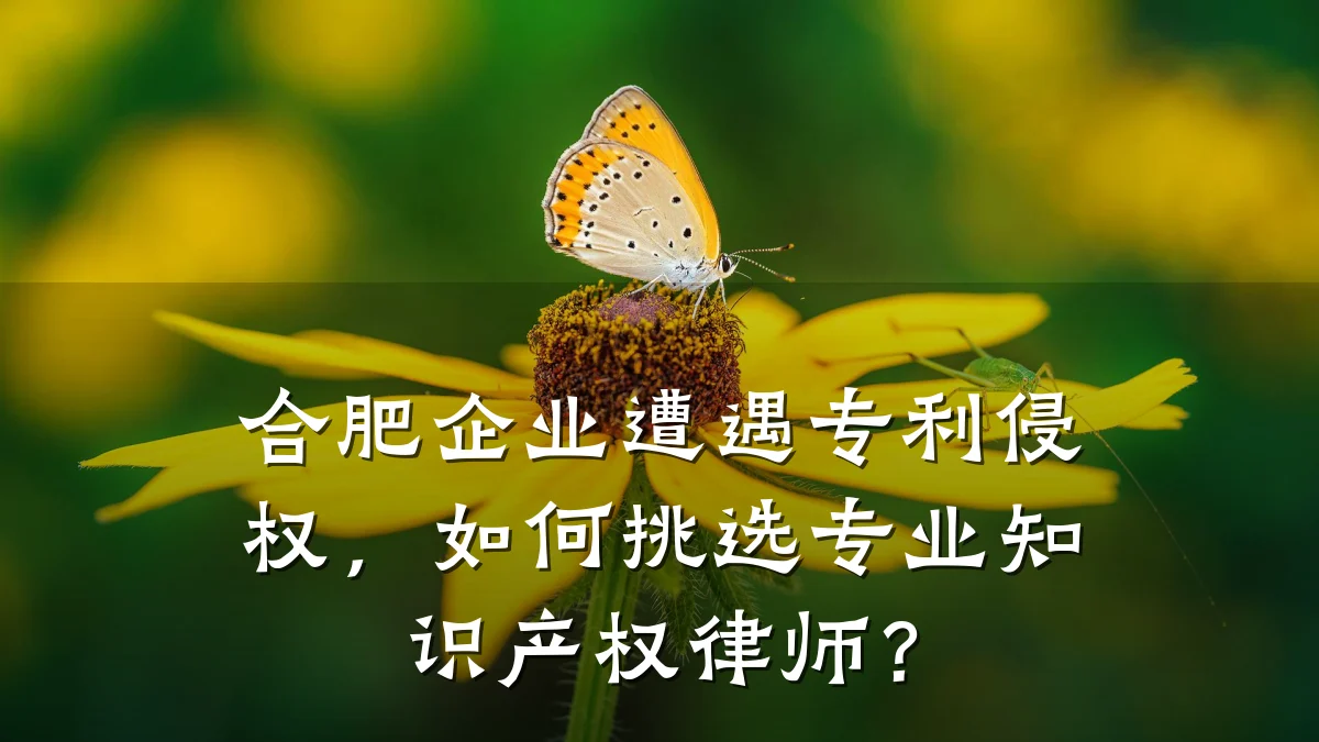合肥企业遭遇专利侵权，如何挑选专业知识产权律师？