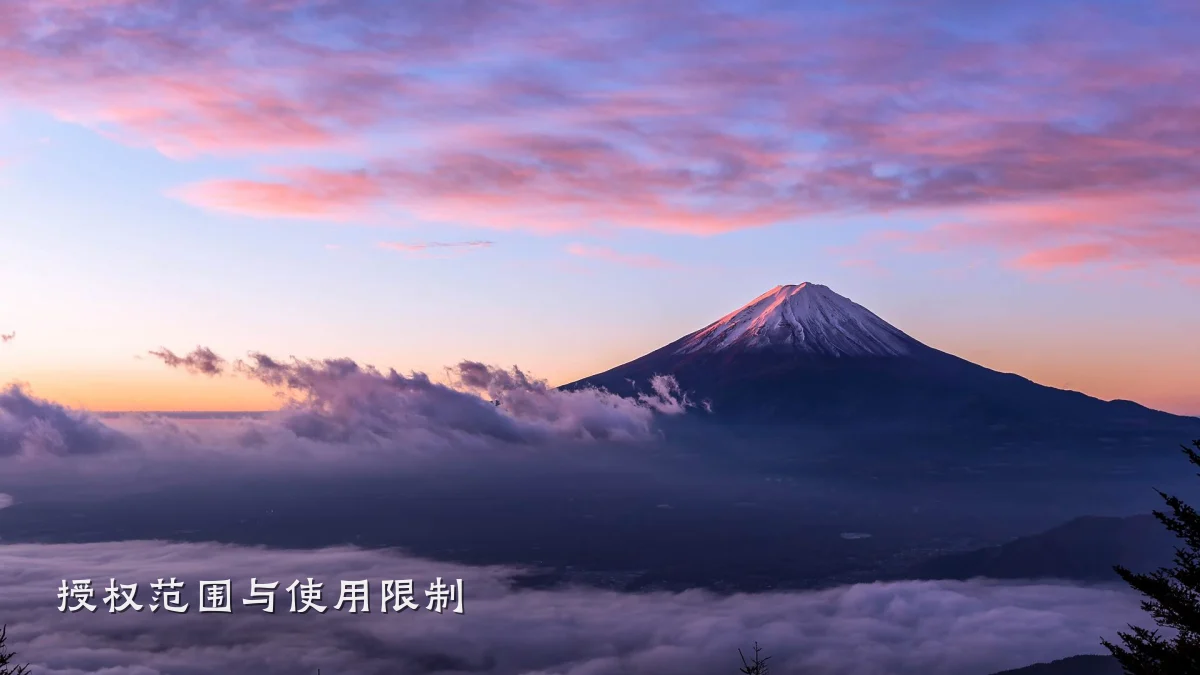 授权范围与使用限制