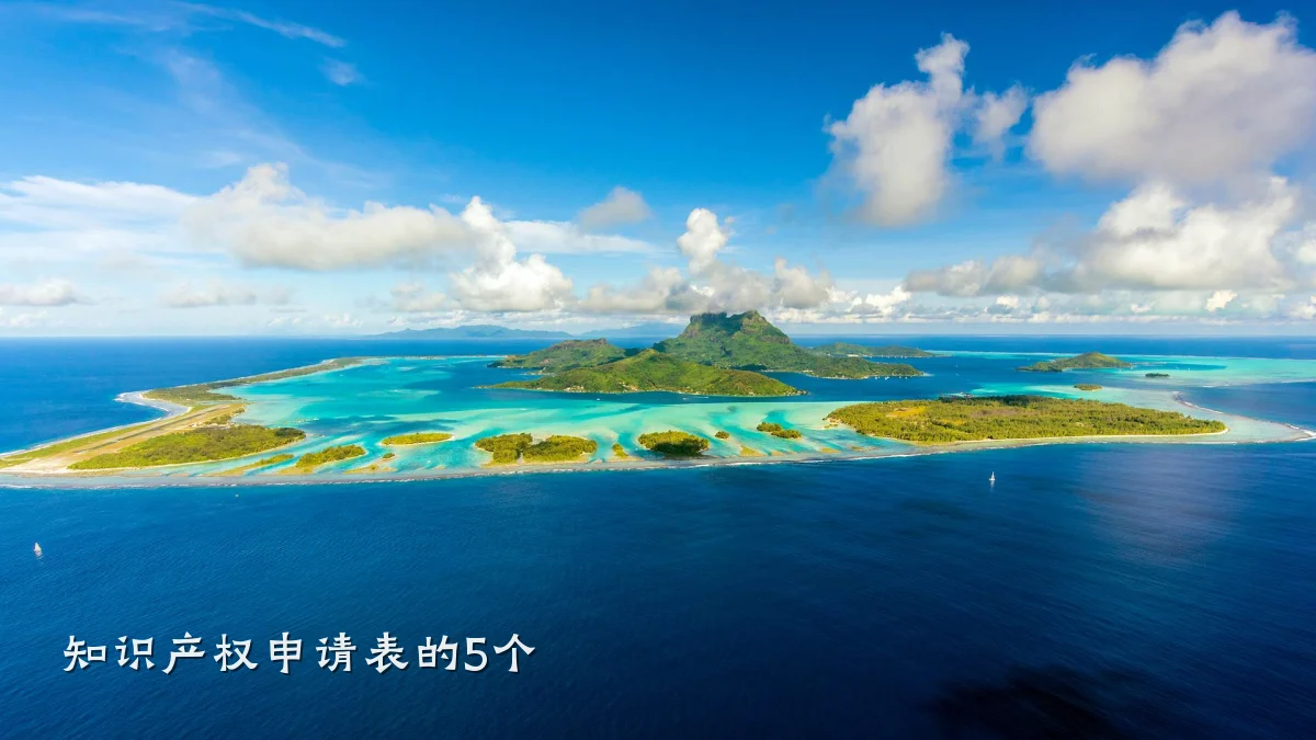 知识产权申请表的5个