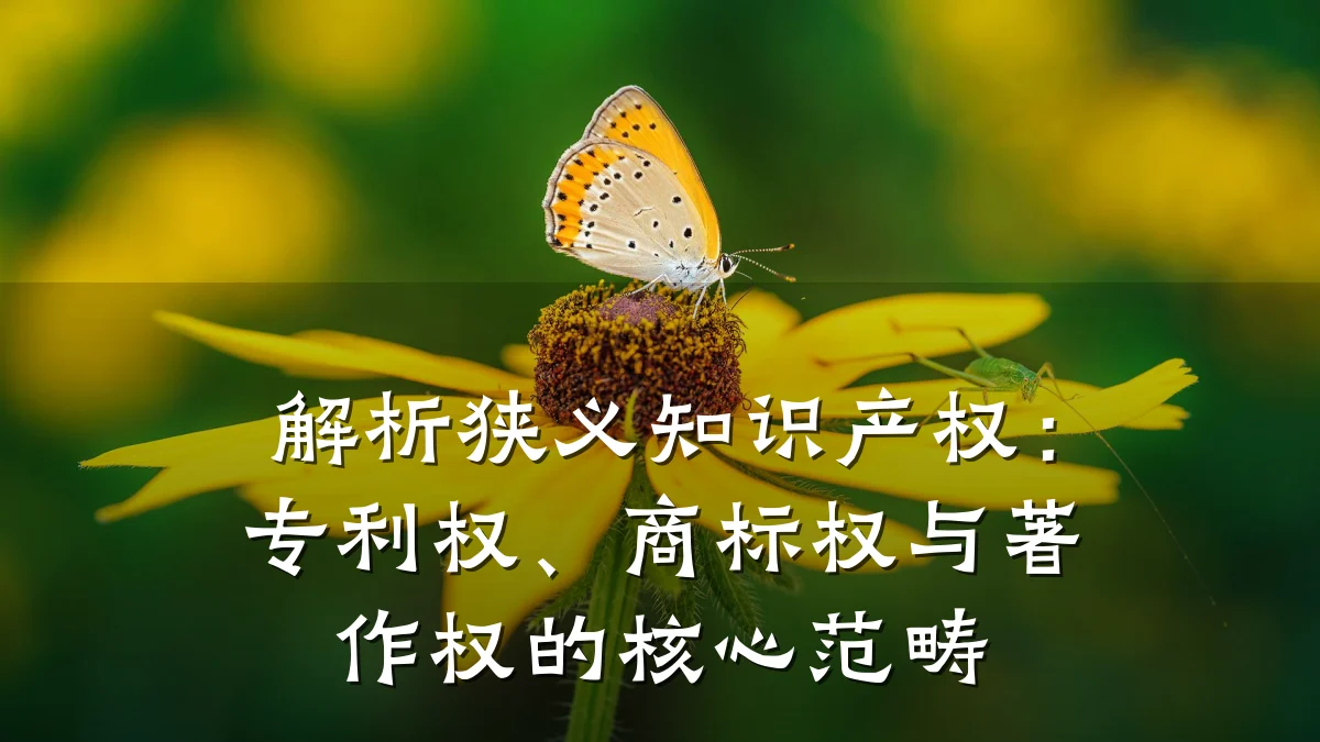 解析狭义知识产权:专利权、商标权与著作权的核心范畴