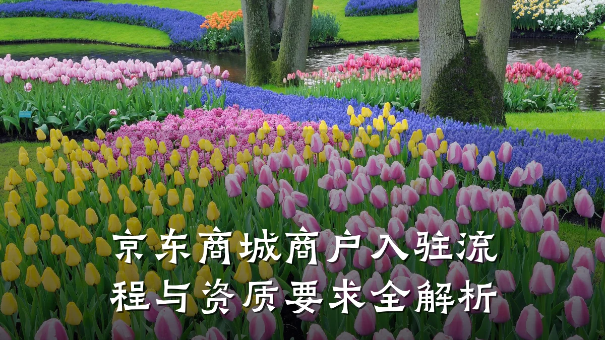 京东商城商户入驻流程与资质要求全解析