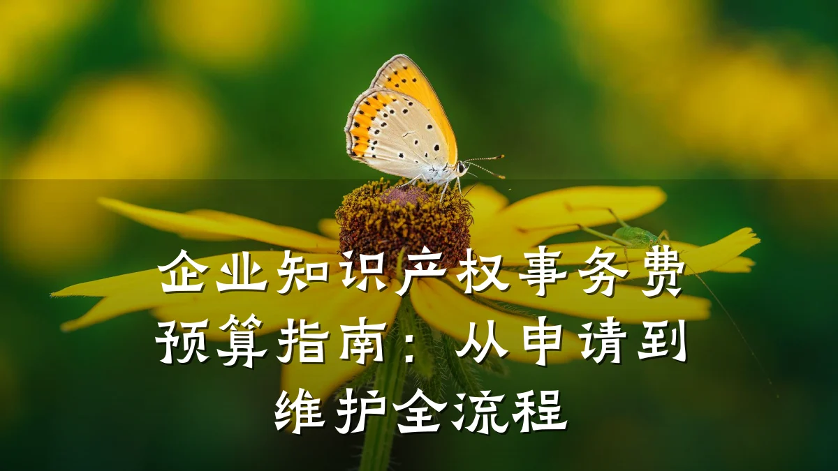 企业知识产权事务费预算指南：从申请到维护全流程