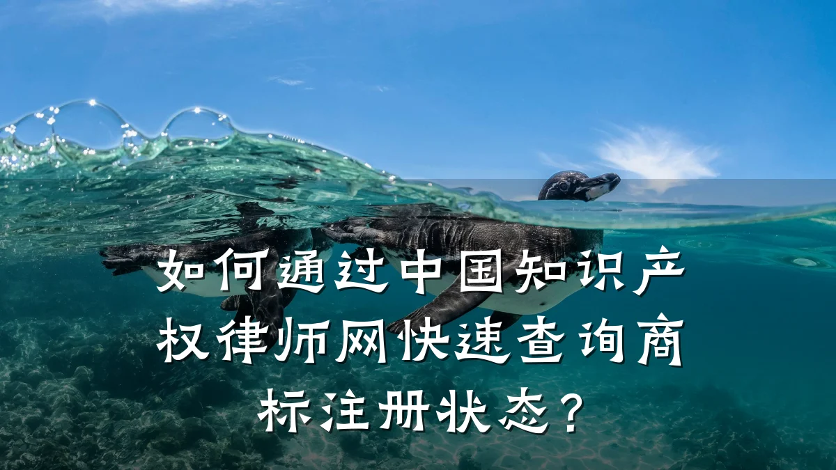 如何通过中国知识产权律师网快速查询商标注册状态?