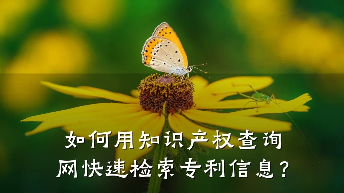 如何用知识产权查询网快速检索专利信息？