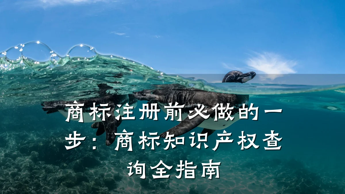 商标注册前必做的一步：商标知识产权查询全指南