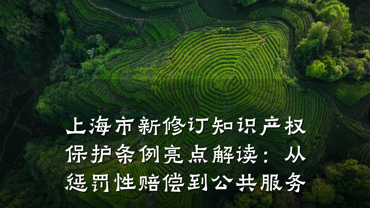 上海市新修订知识产权保护条例亮点解读:从惩罚性赔偿到公共服务