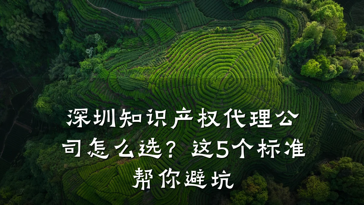 深圳知识产权代理公司怎么选?这5个标准帮你避坑