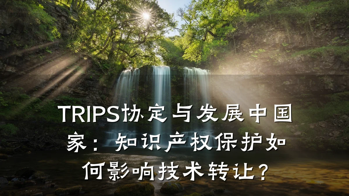TRIPS协定与发展中国家:知识产权保护如何影响技术转让?