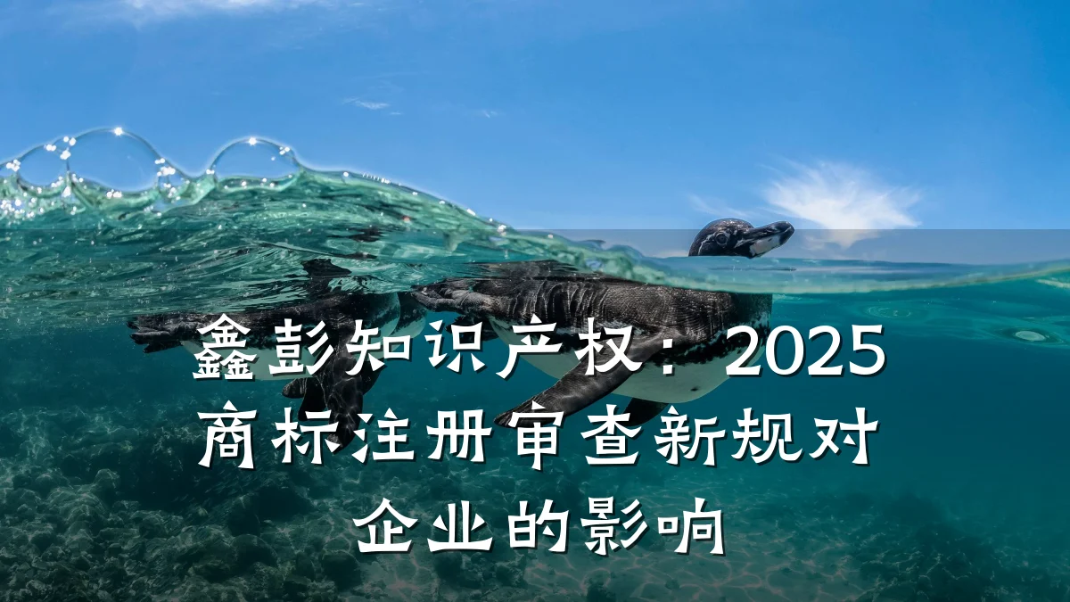 鑫彭知识产权：2025商标注册审查新规对企业的影响