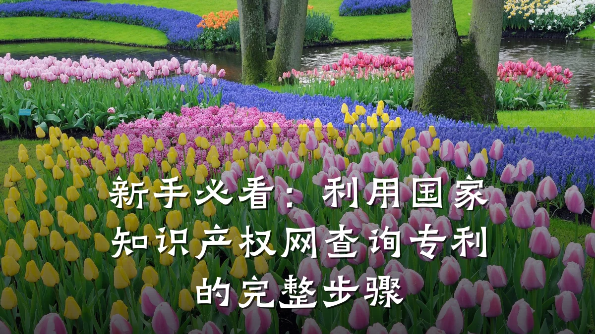 新手必看:利用国家知识产权网查询专利的完整步骤
