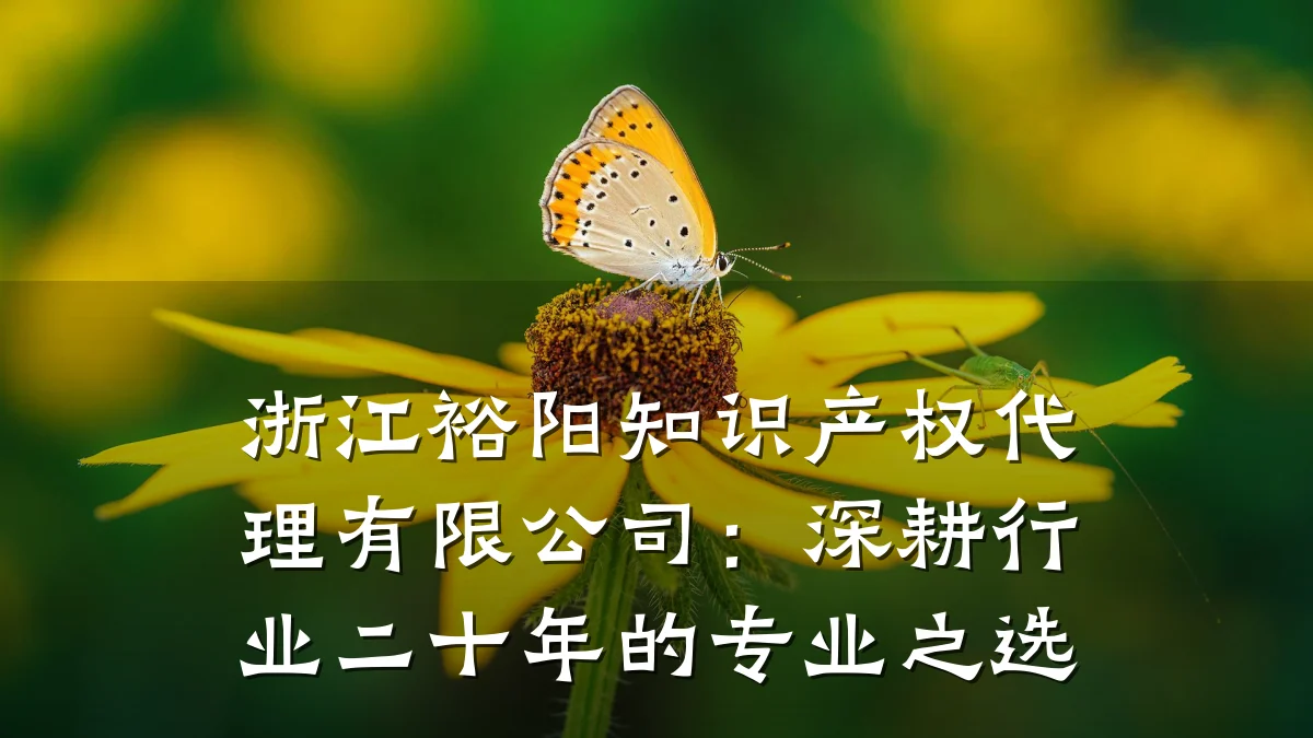 浙江裕阳知识产权代理有限公司:深耕行业二十年的专业之选