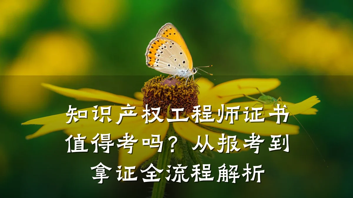知识产权工程师证书值得考吗？从报考到拿证全流程解析
