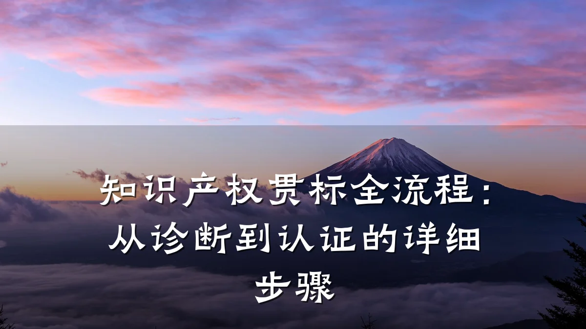 知识产权贯标全流程：从诊断到认证的详细步骤