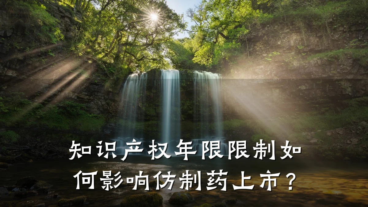 知识产权年限限制如何影响仿制药上市?