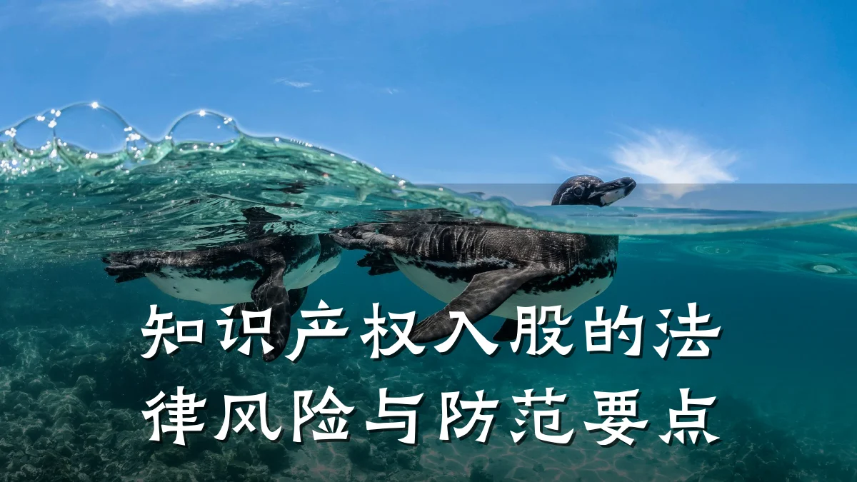 知识产权入股的法律风险与防范要点