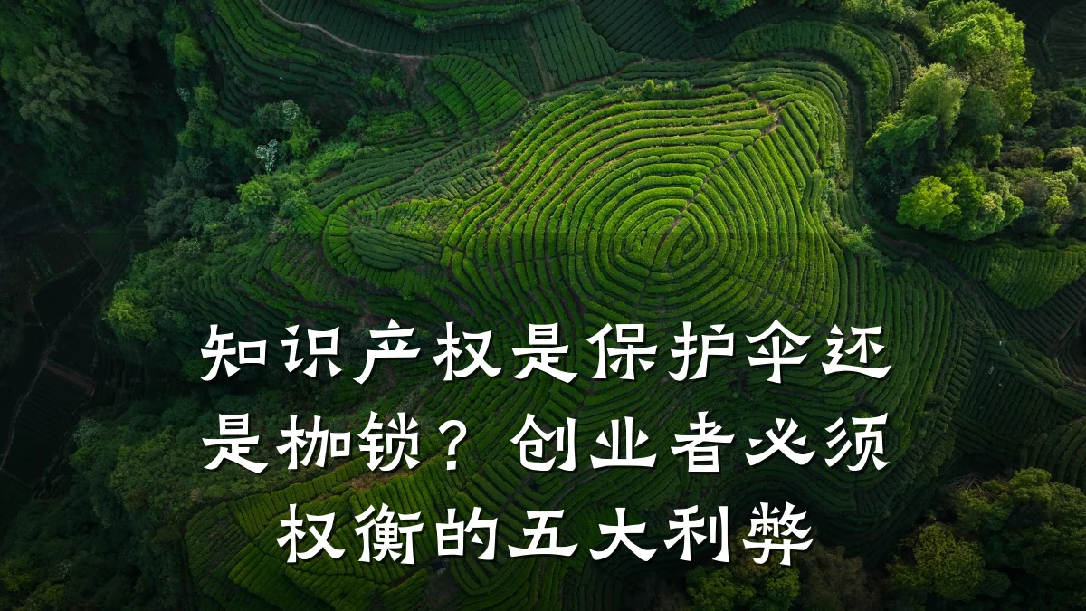 知识产权是保护伞还是枷锁？创业者必须权衡的五大利弊