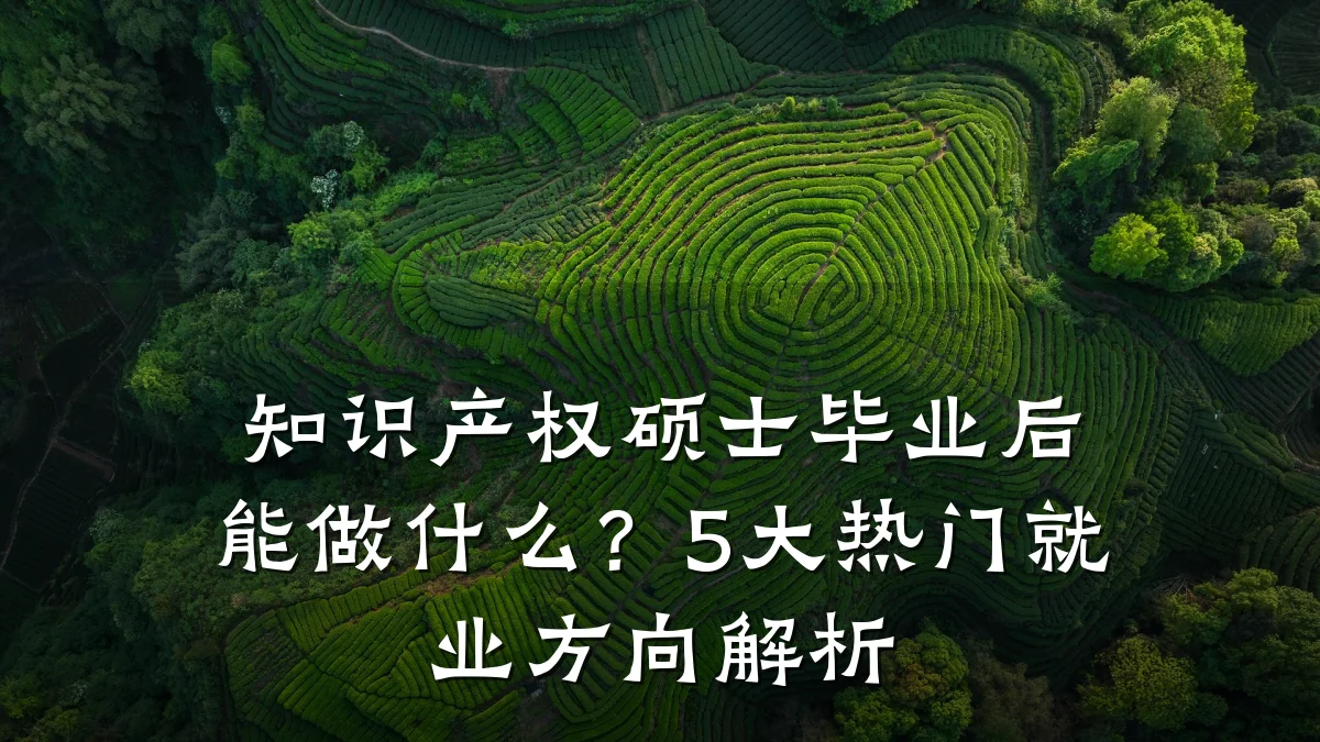 知识产权硕士毕业后能做什么？5大热门就业方向解析