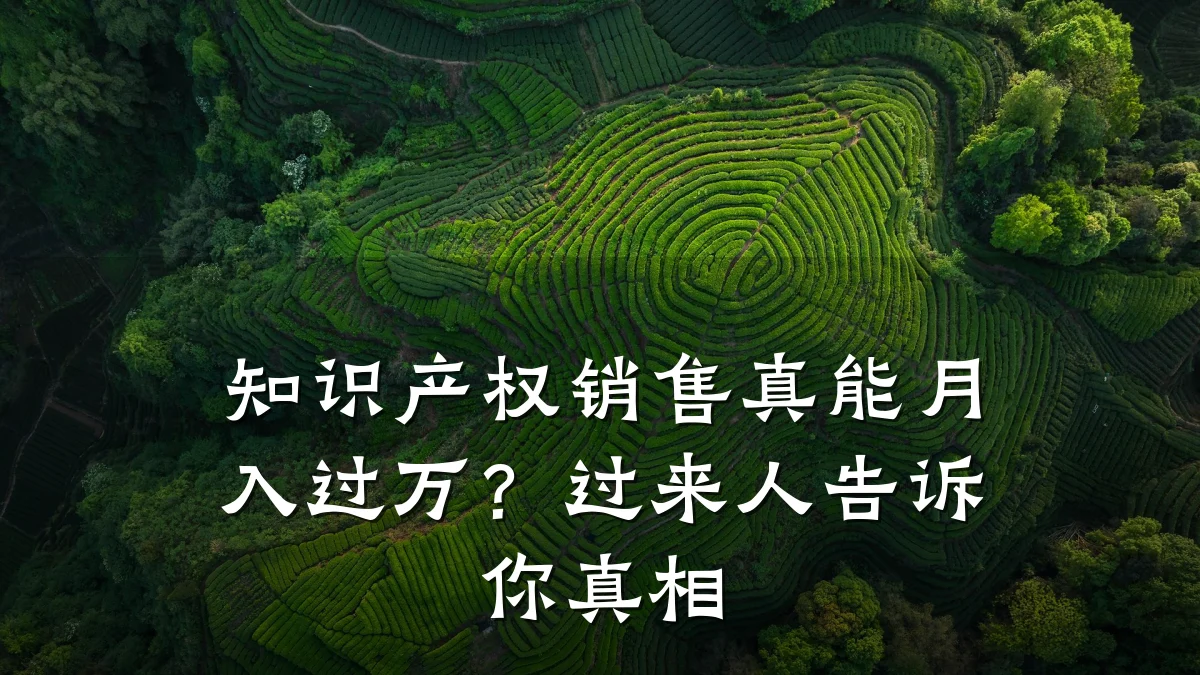 知识产权销售真能月入过万？过来人告诉你真相