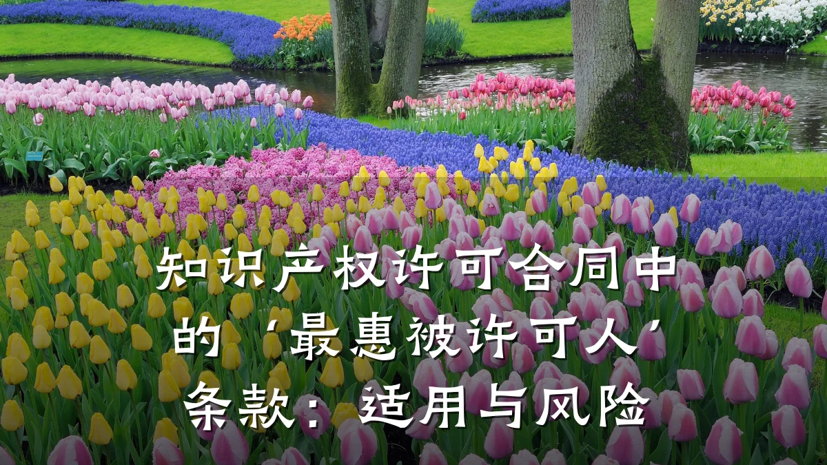 知识产权许可合同中的‘最惠被许可人’条款：适用与风险