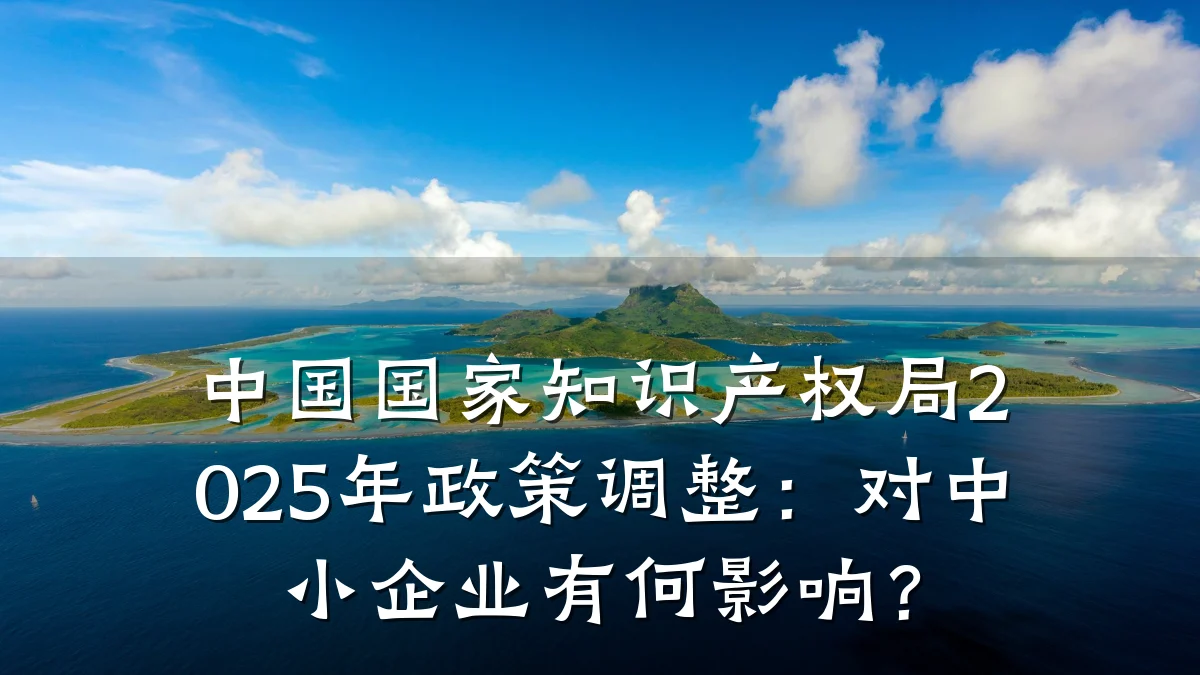 中国国家知识产权局2025年政策调整：对中小企业有何影响？