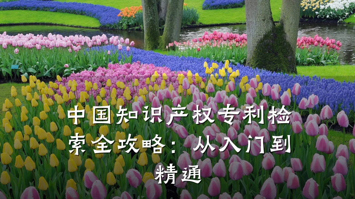 中国知识产权专利检索全攻略:从入门到精通