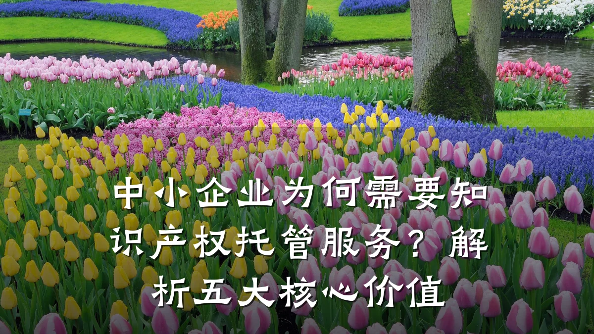 中小企业为何需要知识产权托管服务?解析五大核心价值