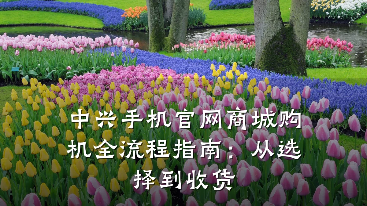 中兴手机官网商城购机全流程指南：从选择到收货