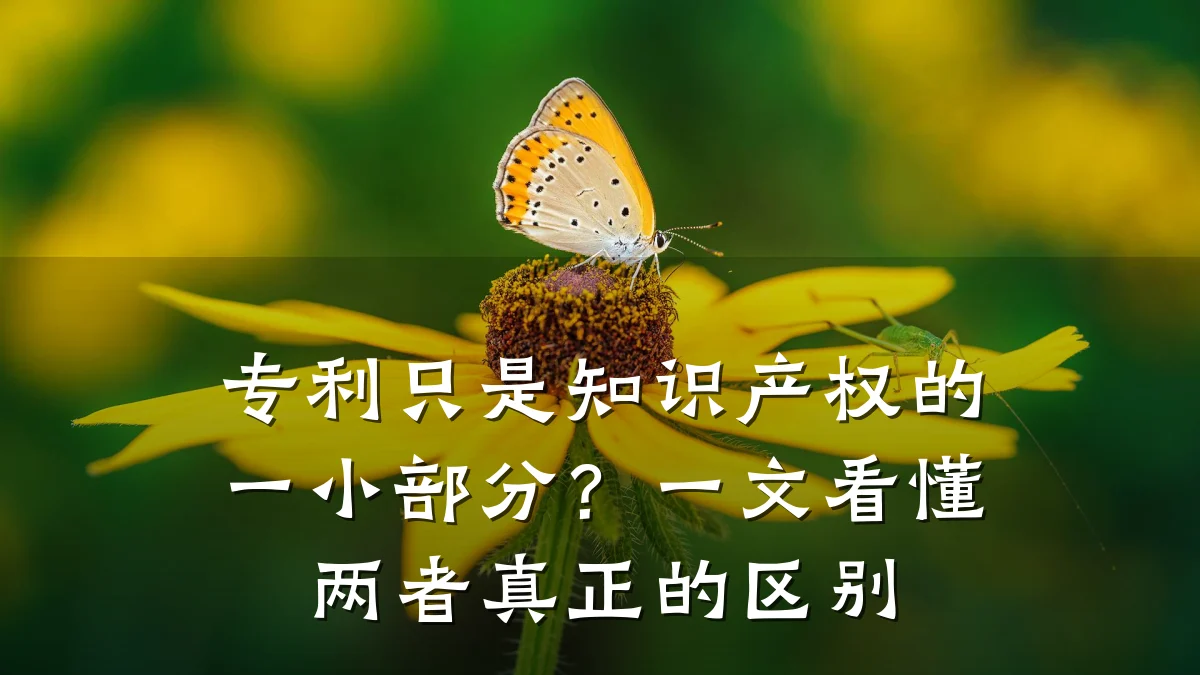 专利只是知识产权的一小部分?一文看懂两者真正的区别