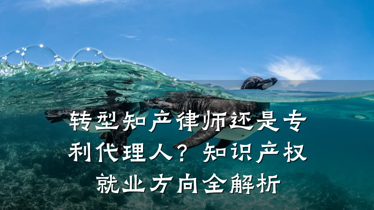 转型知产律师还是专利代理人?知识产权就业方向全解析