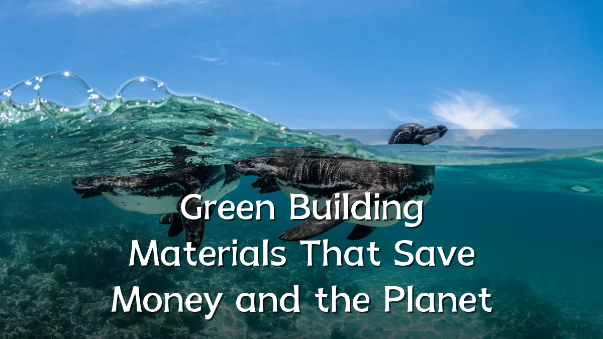 Green Building Materials That Save Money and the Planet